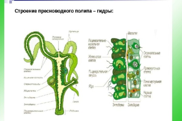 Как войти в кракен