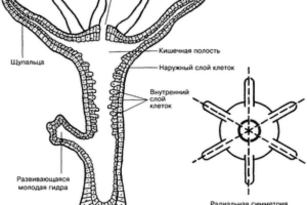 Где найти ссылку кракен